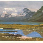 Cover image of Bow Lake, Ice Fields Highway, Banff National Park