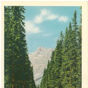 Cover image of Snow Peak Avenue to Emerald Lake, Yoho National Park