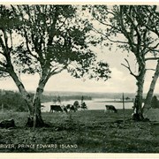 Cover image of West River, Prince Edward Island