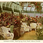 Cover image of Conservatory, Banff Springs Hotel, Banff, Alberta, Canada