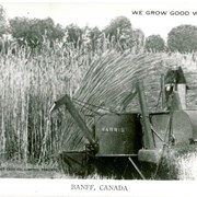 Cover image of WE GROW GOOD WHEAT. BANFF, CANADA