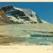 Cover image of Columbia Icefields
