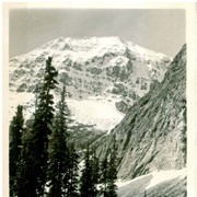Cover image of Mt. Edith Cavell, Jasper Park