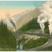 Cover image of Passenger Train, Near Field, B.C.