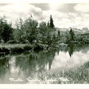 Cover image of Miette River, Jasper Park