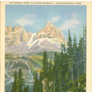 Cover image of Selected Art Colortone Post Cards, The Canadian Pacific Rockies