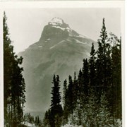 Cover image of 12 Real Photographs, For Your Album, For Your Friends, Johnson's Canyon, Near Banff, Alta.
