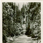 Cover image of 12 Real Photographs, For Your Album, For Your Friends, Johnson's Canyon, Near Banff, Alta.