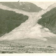 Cover image of The Angel Glacier, Jasper National Park
