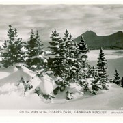 Cover image of On the Way to the Citadel Pass, Canadian Rockies .