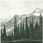 Cover image of Marion Lake