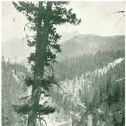 Cover image of Elk Canyon
