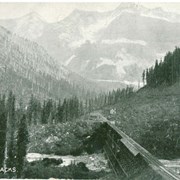 Cover image of The Four Tracks