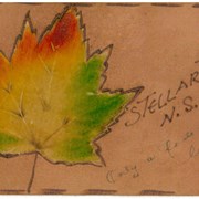 Cover image of Stellarton N.S., Only a faded leaf