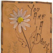 Cover image of You are a Daisy, Calgary