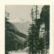 Cover image of 172. Mt. Lefroy, Lake Louise [Mount Lefroy]