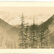 Cover image of Mt. Bonney, Glacier, B.C. [Mount Bonney]
