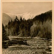 Cover image of Capilano River and Lions