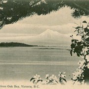 Cover image of Mount Baker from Oak Bay, Victoria, B.C.