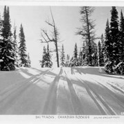 Cover image of Ski Tracks, Canadian Rockies