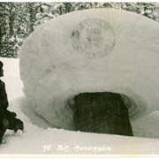 Cover image of B.C. Mushroom