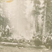 Cover image of [untitled - Alpine Club of Canada, Paradise Valley Camp near Lake Louise ]