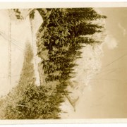 Cover image of Cascade from Tunnel Mt. Banff National Park