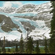 Cover image of Crowfoot Glacier