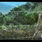 Cover image of Wire Entanglements against the Savages on the BonBon Valley, Formosa