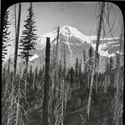 Cover image of [Mount Robson]