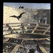 Cover image of 
[Bird swooping interior of building full of dead bodies]