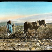 Cover image of Palestine- Tilling the Plain of Esdraelon