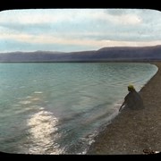 Cover image of Dead Sea- Palestine