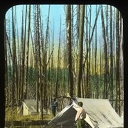 Cover image of [Camp in burnt timber]