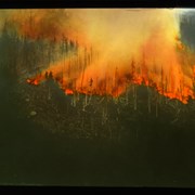 Cover image of [Forest fire]