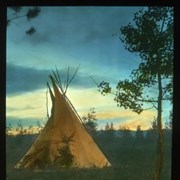 Cover image of [Teepee]