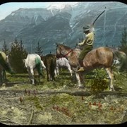 Cover image of [Man herding horses]