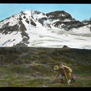 Cover image of [Hiker picking flowers beneath Vice President and President]