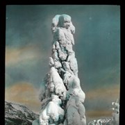 Cover image of [Snow formation on tree]