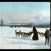 Cover image of [Woman feeding antelope, Animal Paddock, Banff]
