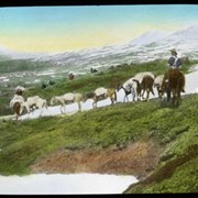 Cover image of Poboktan Pass