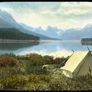 Cover image of [Camp at Maligne Lake]
