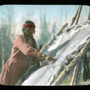 Cover image of [Unidentified woman tanning buffalo hide]