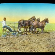Cover image of [Unidentified man ploughing field with horses]