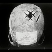 Cover image of Superior Aspect of Cranium 1, From Huarochiri