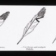 Cover image of [Illustration of Dakota war feather designs]