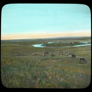 Cover image of [View of First Nations camp with grazing horses]