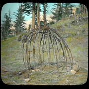 Cover image of [Willow sweat lodge]