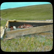 Cover image of [First Nations burial box]