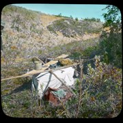 Cover image of [First Nations burial box]